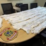 em-manaus-pf-prende-duas-pesso