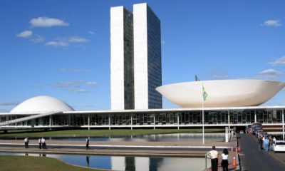 entidades-pedem-veto-a-criacao