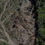 estudo-aponta-unidades-de-cons