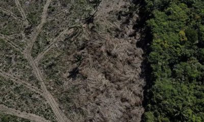 estudo-aponta-unidades-de-cons