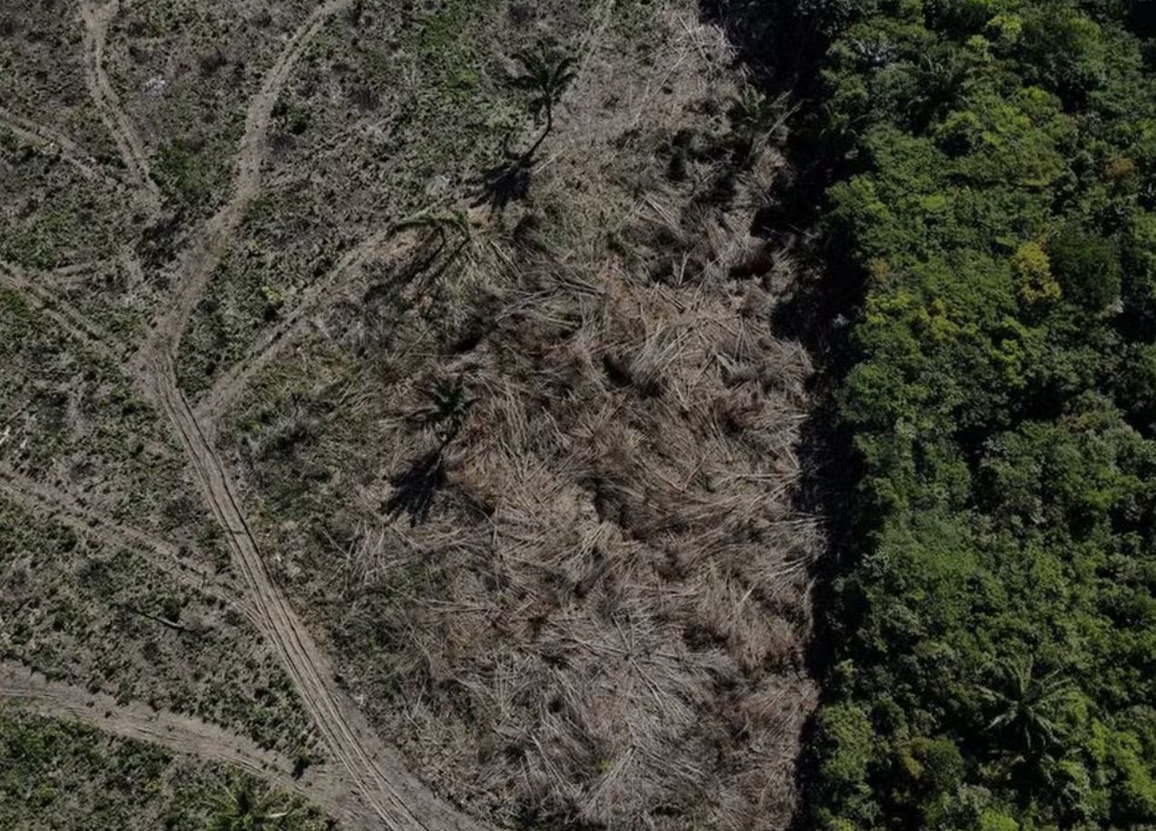 estudo-aponta-unidades-de-cons