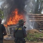 fiscalizacao-no-amazonas-destr