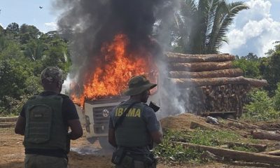 fiscalizacao-no-amazonas-destr