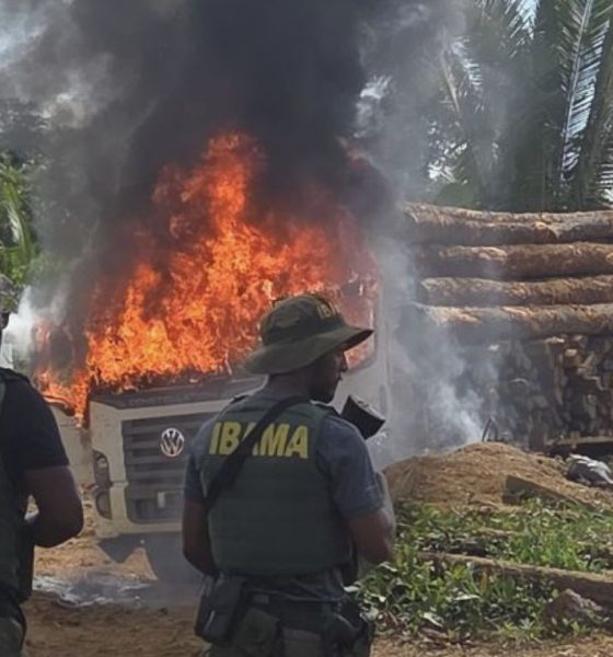 fiscalizacao-no-amazonas-destr