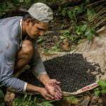 governo-federal-abre-inscricoe