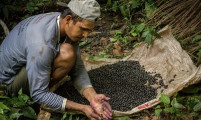 governo-federal-abre-inscricoe