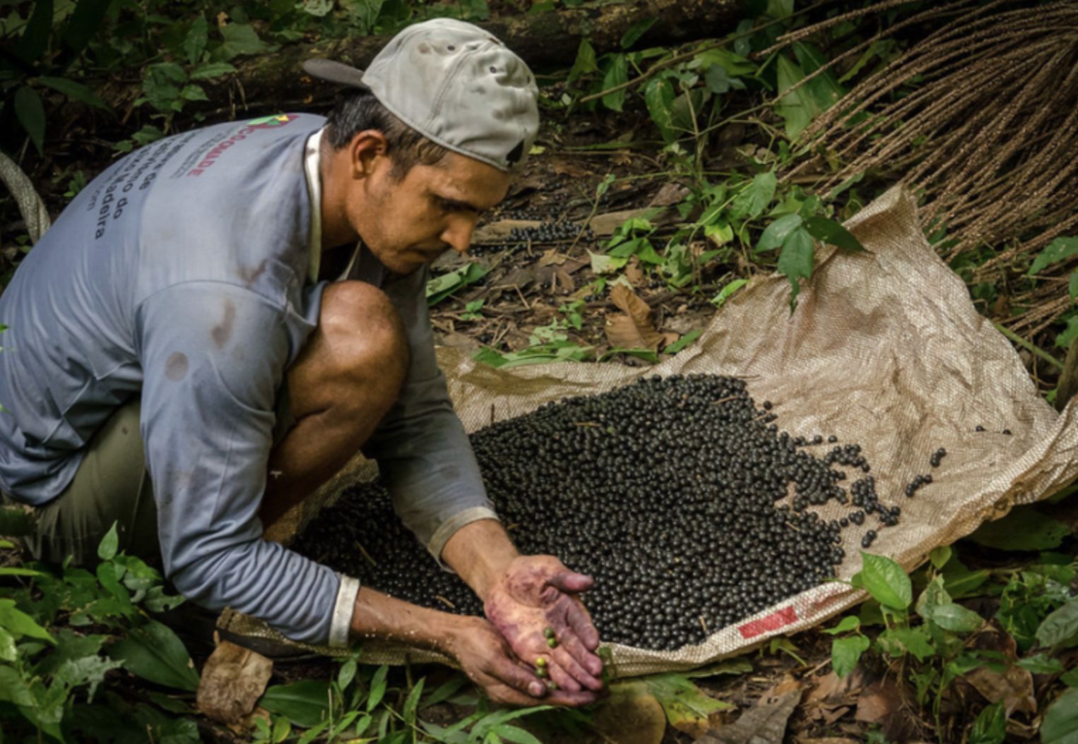 governo-federal-abre-inscricoe