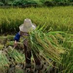 oit-publica-documento-que-prom