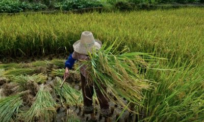 oit-publica-documento-que-prom