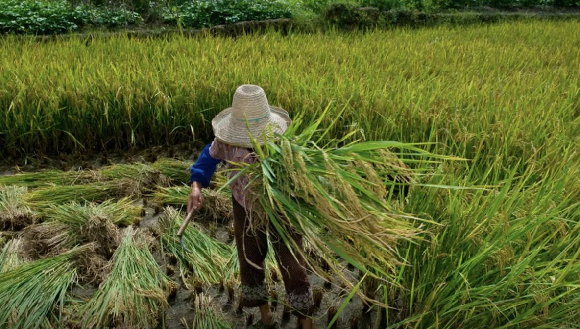 oit-publica-documento-que-prom