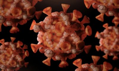 oms-confirma-surgimento-de-nov