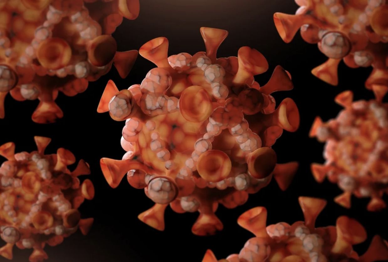 oms-confirma-surgimento-de-nov