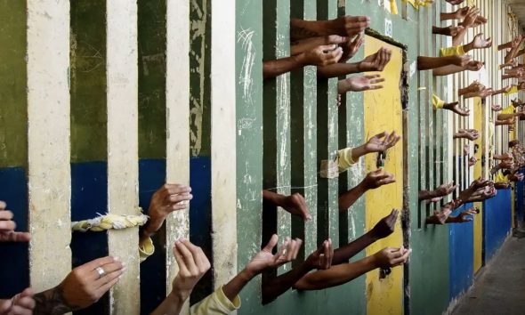 organizacoes-denunciam-a-onu-f