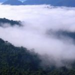 pesquisa-revela-que-neblina-na