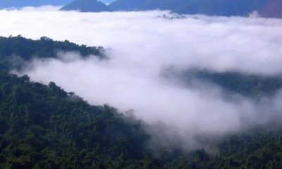 pesquisa-revela-que-neblina-na