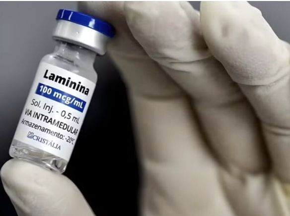 polilaminina-entidades-cientif