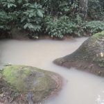 projeto-de-usina-solar-intoxic