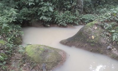 projeto-de-usina-solar-intoxic