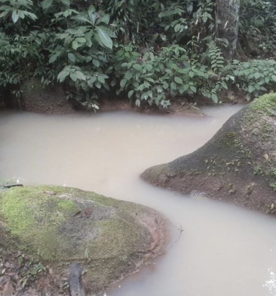 projeto-de-usina-solar-intoxic