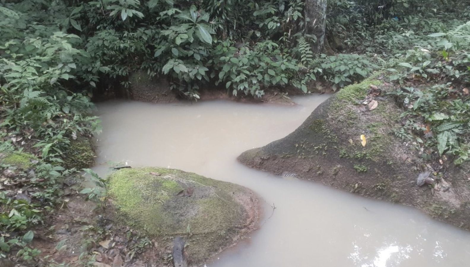 projeto-de-usina-solar-intoxic