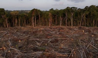 amazonas-segue-2o-no-ranking-d