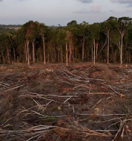 amazonas-segue-2o-no-ranking-d