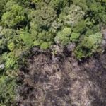 amazonas-segue-entre-estados-q