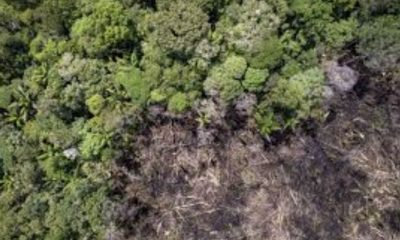 amazonas-segue-entre-estados-q