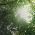 cmn-muda-regra-do-eco-invest-b