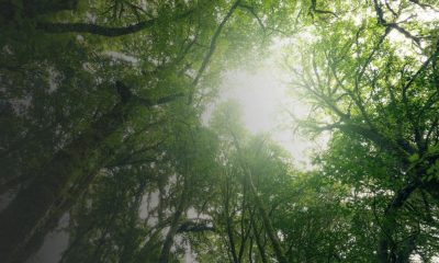 cmn-muda-regra-do-eco-invest-b