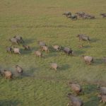 comeca-teste-para-abater-5-mil