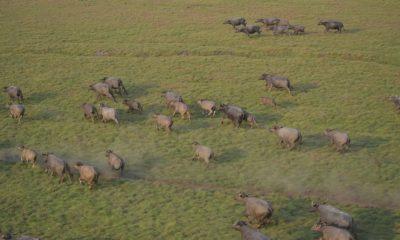 comeca-teste-para-abater-5-mil