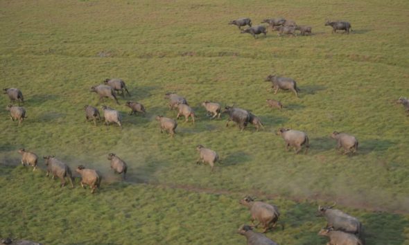 comeca-teste-para-abater-5-mil