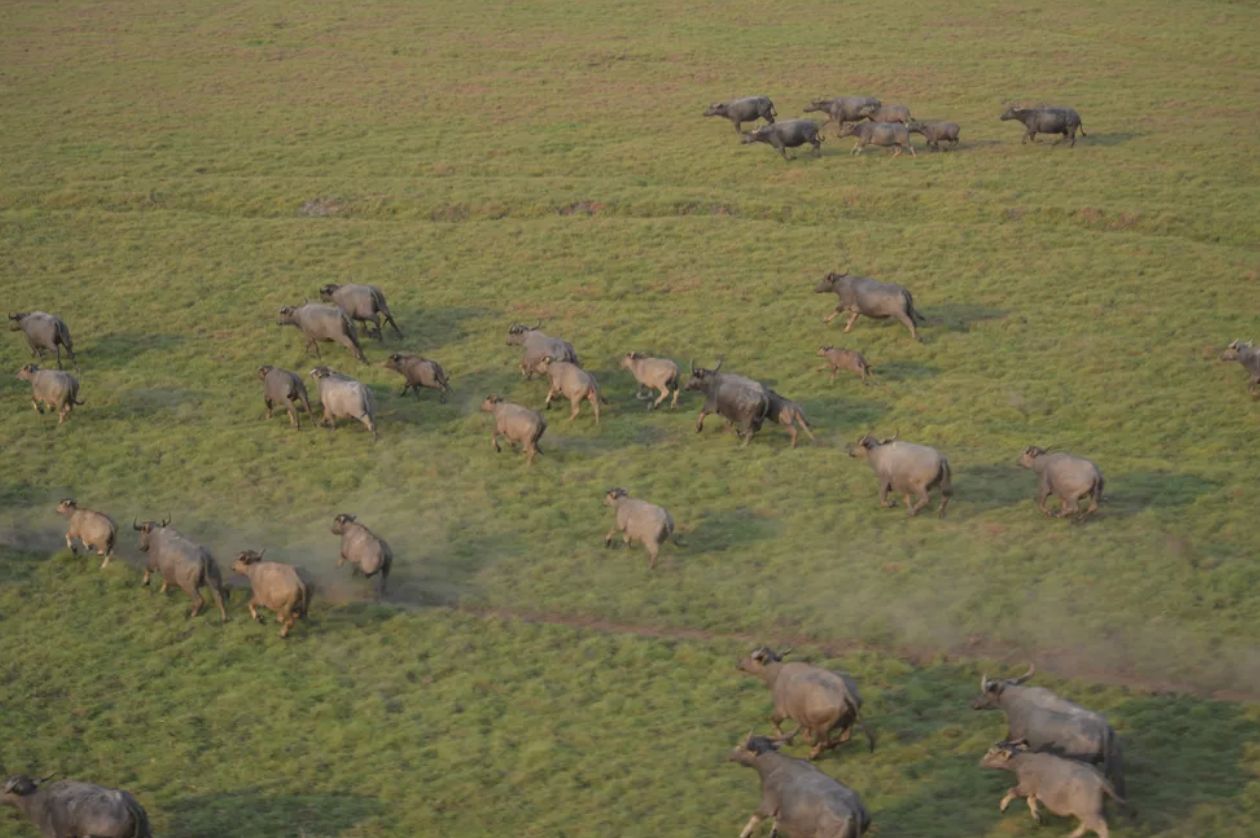 comeca-teste-para-abater-5-mil