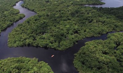 conab-e-bndes-retificam-docume