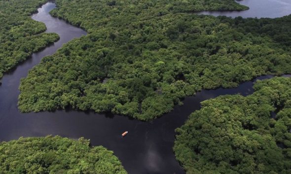 conab-e-bndes-retificam-docume