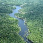 desmatamento-no-amazonas-cai-5