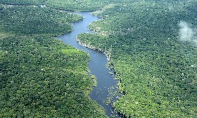 desmatamento-no-amazonas-cai-5