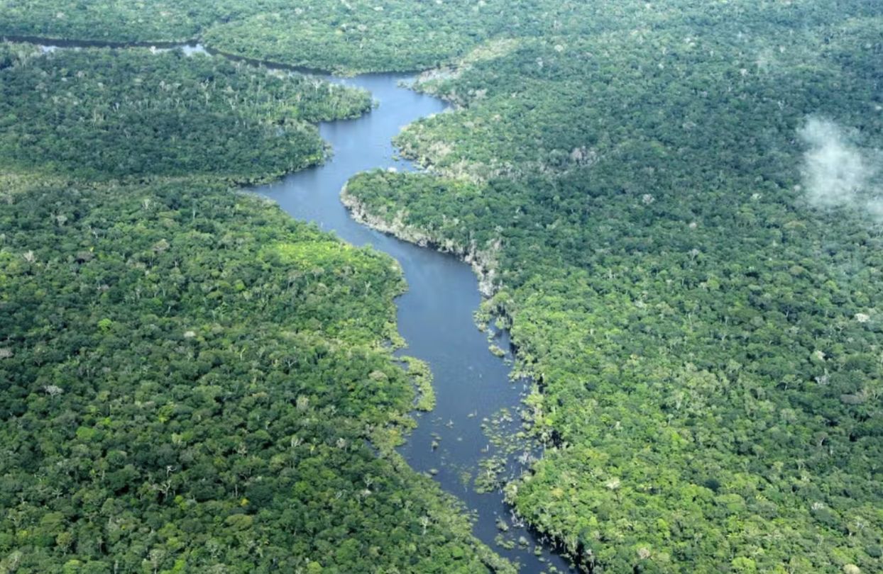 desmatamento-no-amazonas-cai-5