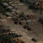 economia-ilicita-crimes-deixam