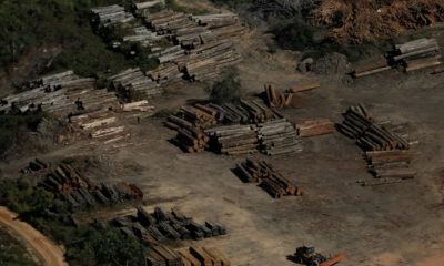 economia-ilicita-crimes-deixam