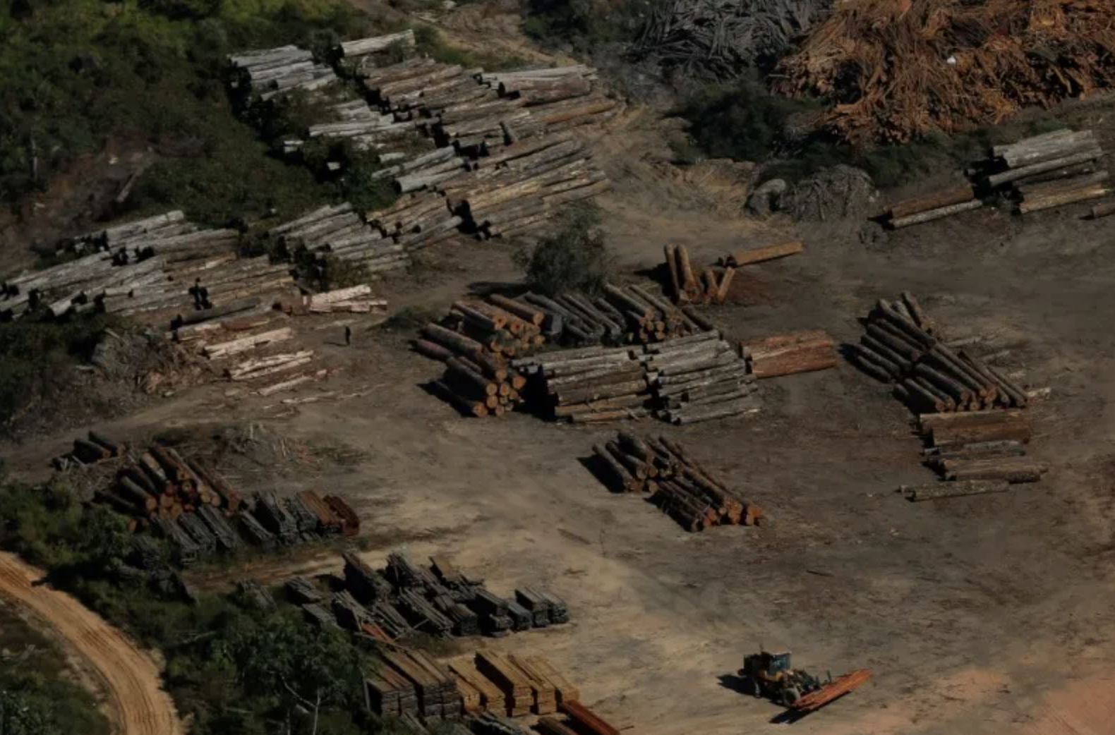 economia-ilicita-crimes-deixam