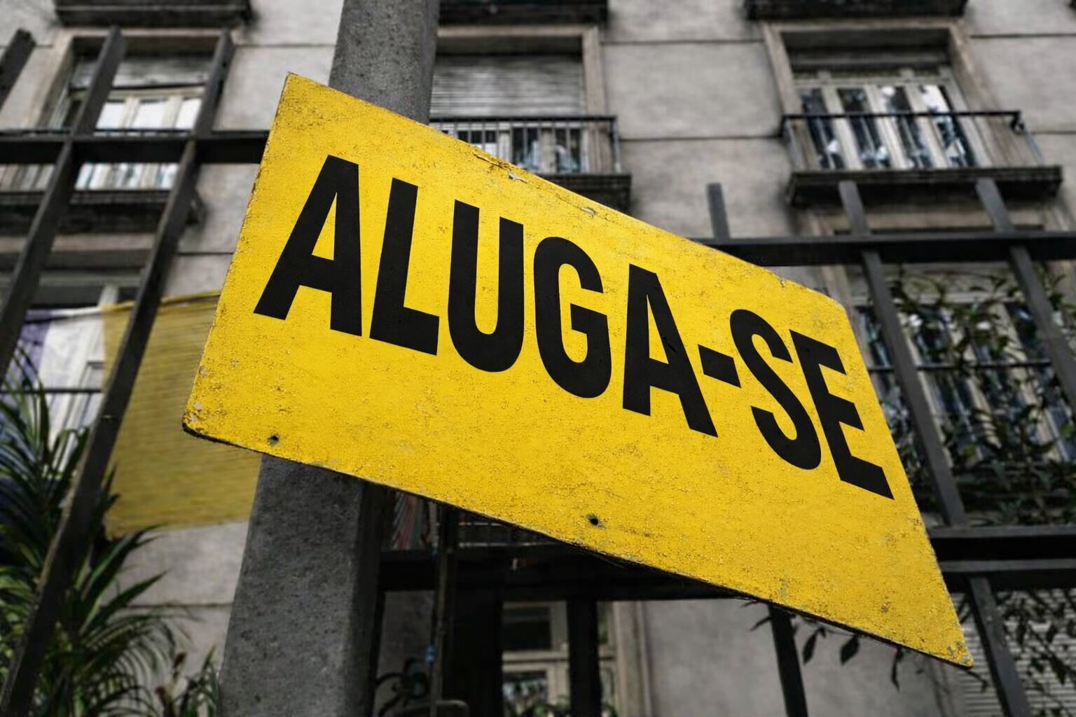 fipzap-manaus-registrou-a-maio