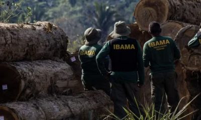 fiscais-do-ibama-sao-vitimas-d