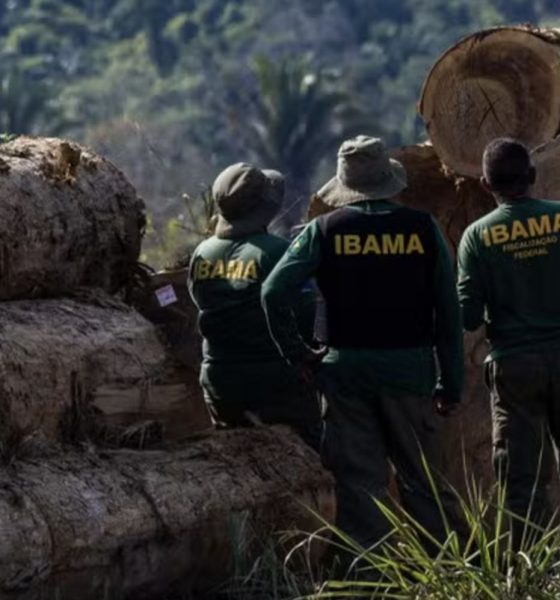 fiscais-do-ibama-sao-vitimas-d