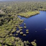 fundo-amazonia-destina-r-53-mi