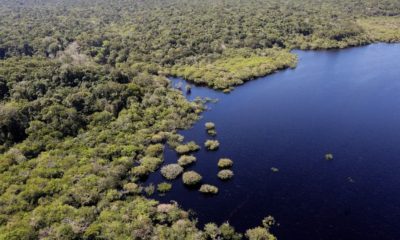 fundo-amazonia-destina-r-53-mi