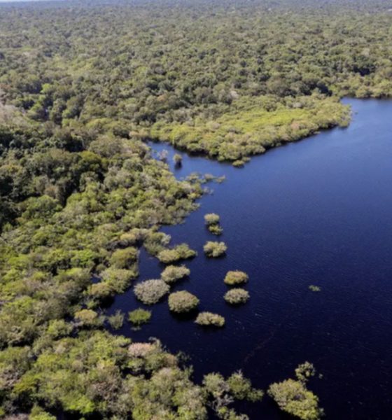 fundo-amazonia-destina-r-53-mi