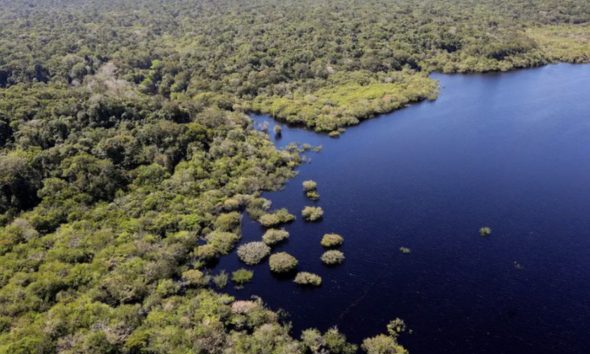 fundo-amazonia-destina-r-53-mi