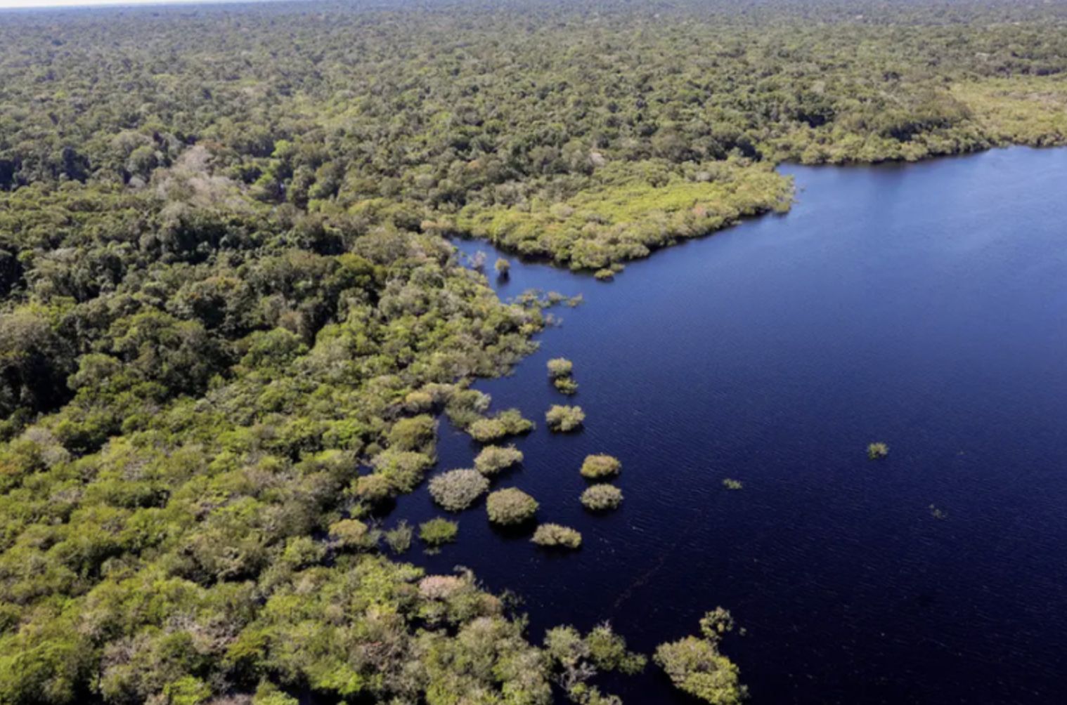fundo-amazonia-destina-r-53-mi